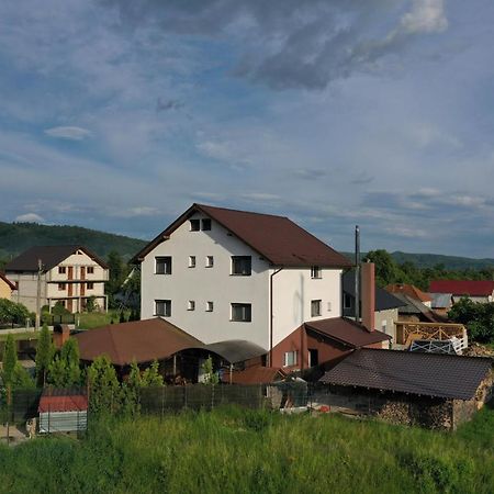 Pensiunea Lacul Albesti Albestii Paminteni Esterno foto