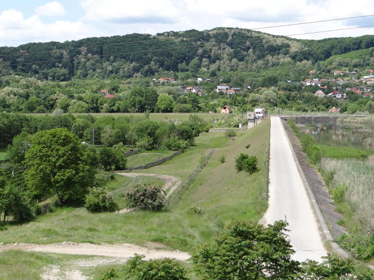 Pensiunea Lacul Albesti Albestii Paminteni Esterno foto