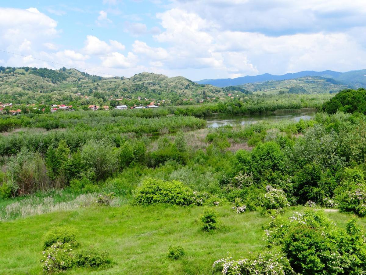 Pensiunea Lacul Albesti Albestii Paminteni Esterno foto